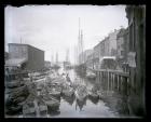 T Wharf South Dock and Long Wharf Italian Fishing Fleet